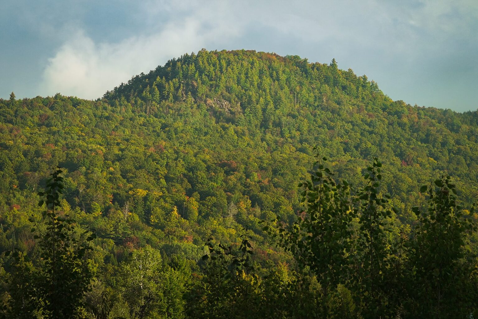 Forested hill with a rocky patch near the summit under a cloudy sky, with early autumn color