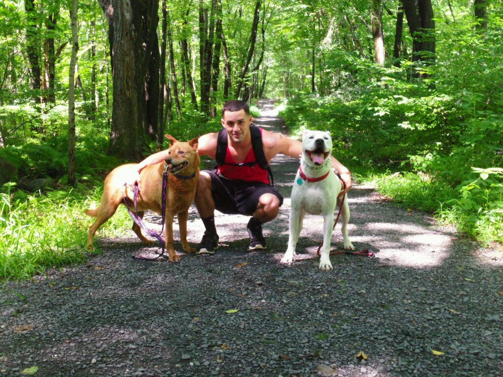 A man crouching on a gravel trail through green summer woods, with a tan dog on his left and a white dog on his right, both on leashes