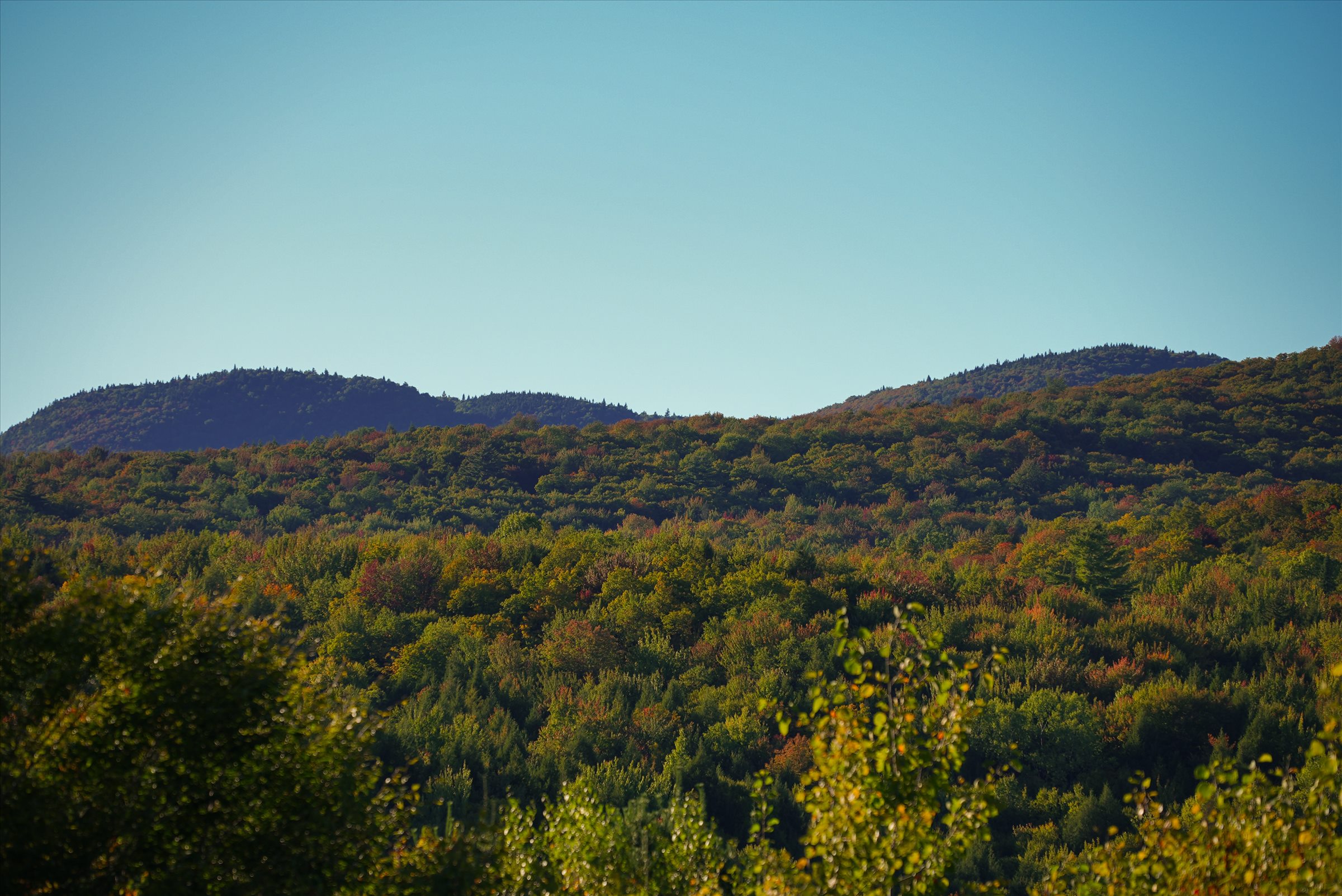 Forested hills with early autumn color beneath a mountain ridge and clear blue sky
